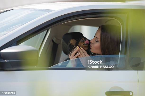 Woman Dog Car Traveling Stock Photo - Download Image Now - Dog, Drive - Ball Sports, 20-29 Years