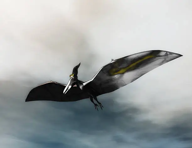 Digital Illustration of a Pteranodon
