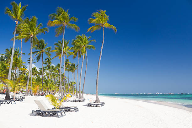 istock Tropical beach like a paradise on earth 473573664