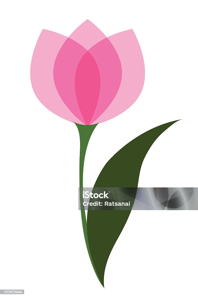 tulip single flower vector Tulip stock vector