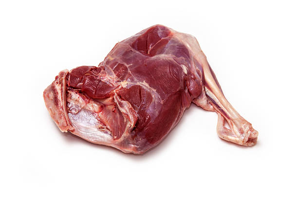 istock Haunch of muntjac venison 473578416