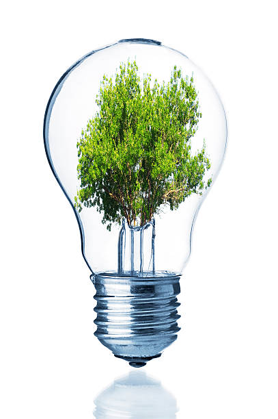 istock Photoshop image of a leafy, green tree inside a light bulb  473586278