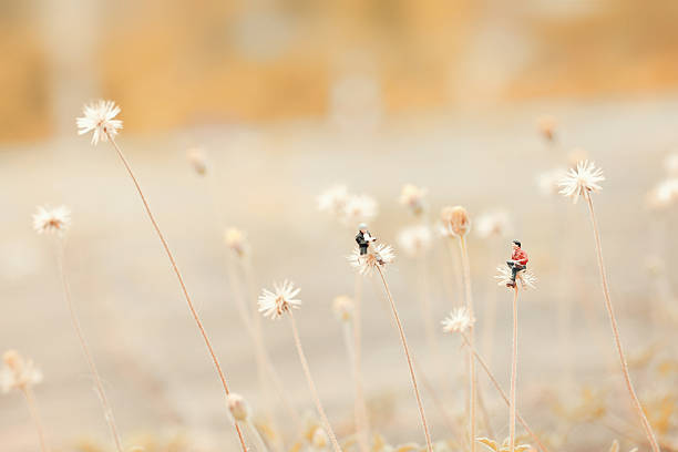 istock Miniature,two man talking together on the flower like Dandelion. 473586668