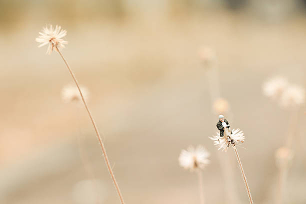 istock Miniature,man reading a book on the flower like Dandelion. 473586670