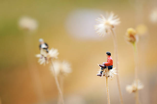 miniature, deux hommes parler ensemble sur la fleur de pissenlit comme. - figurine photos et images de collection