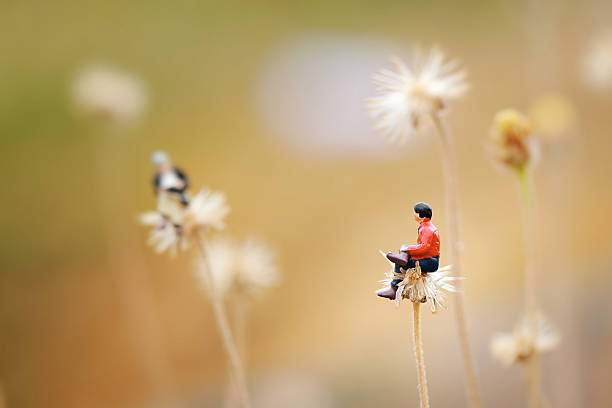 Miniature,two man talking together on the flower like Dandelion. stock photo