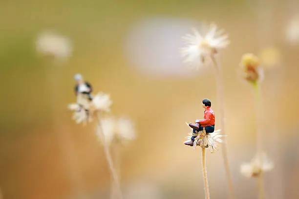 Photo of Miniature,two man talking together on the flower like Dandelion.