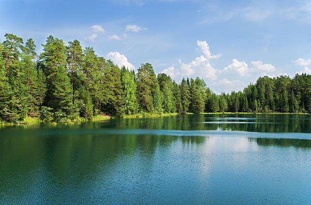 istock Lake in wood 473590244