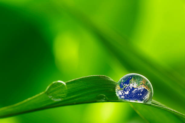 istock leaf with rain droplets - Recovery earth concept 473592676