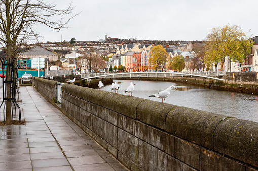 Lavitt's Quay on the north channel of river Lee. Cork City, Ireland