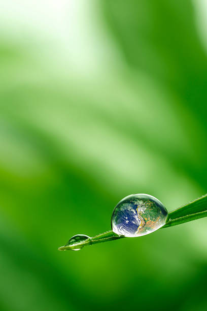 istock leaf with rain droplets - Recovery earth concept 473594424