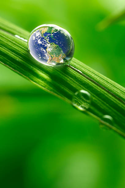 istock leaf with rain droplets - Recovery earth concept 473594430