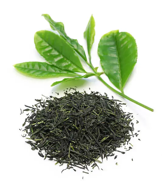 heap of japanese green tea with young leaves on white background