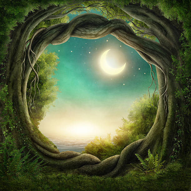 Enchanted dark forest Enchanted dark forest in the moonlight mystery stock illustrations
