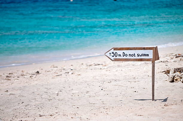 istock No swim signal 473651848
