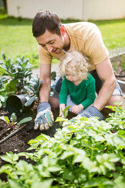istock Father and Daughter Planting Garden 473661050