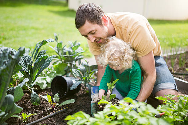 istock Father and Daughter Planting Garden 473661060