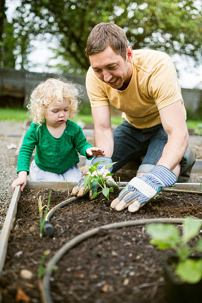 istock Father and Daughter Planting Garden 473661064