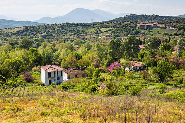 istock Rural landscape in Greece with farm and vineyards 473671780