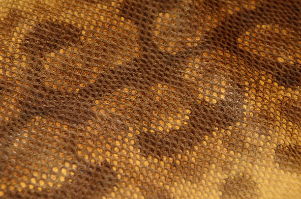 istock Background of snake skin leather texture 473677040