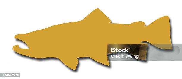 Brown Trout Silhouete On White With A Shadow Stock Photo - Download Image Now - In Silhouette, Trout, 2015