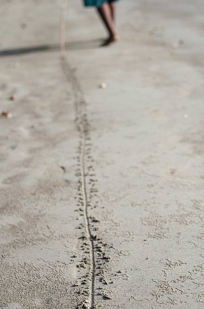 Bicycle tracks on the sand. Close-up photos, selection focus.