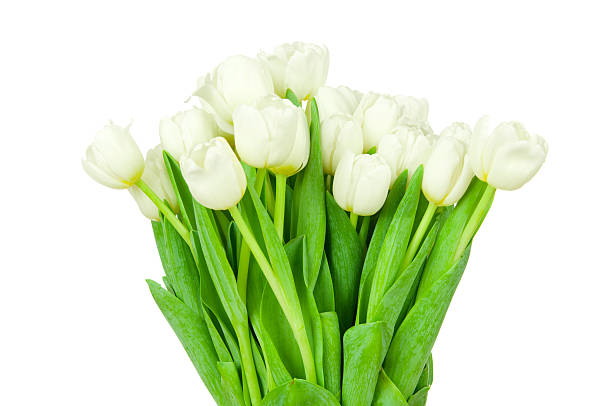 istock Bouquet of tulips 473678332