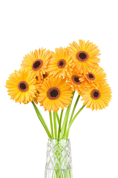 istock Bunch of gerber flowers 473678398