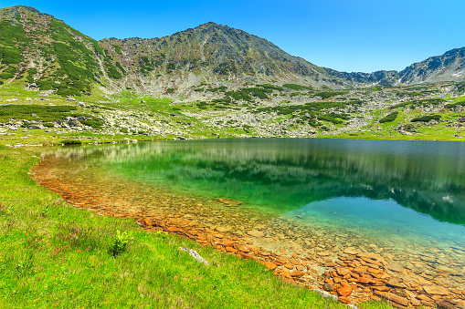 Woodland. Clear sky. There are many forested lakes around. Areas close to the lake are shaved from vegetation.