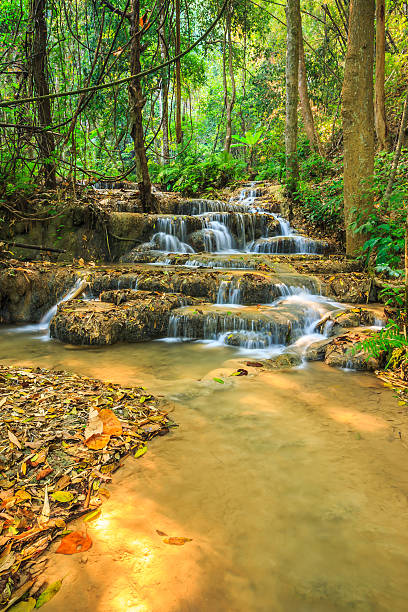 istock wonderful waterfall in thailand, Pugang chiangrai 473679152
