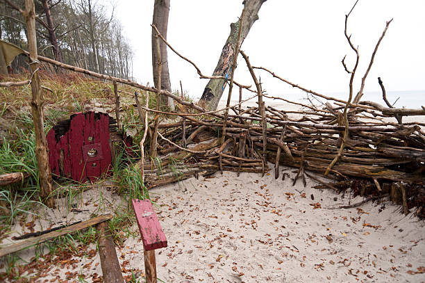 Baltic Sea coast of Darss in Germany