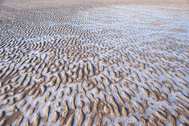 Beach on the North Frisian Island Amrum in Germany