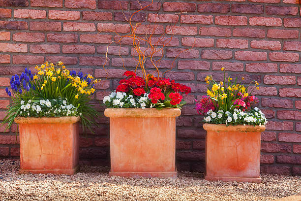 Three vases of blossom flowers in the botanical garden of Essen town used as background. Beautiful outdoor scenery in German, Europe