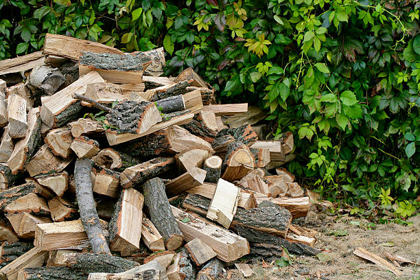 istock Pile of chopped firewood 473684514