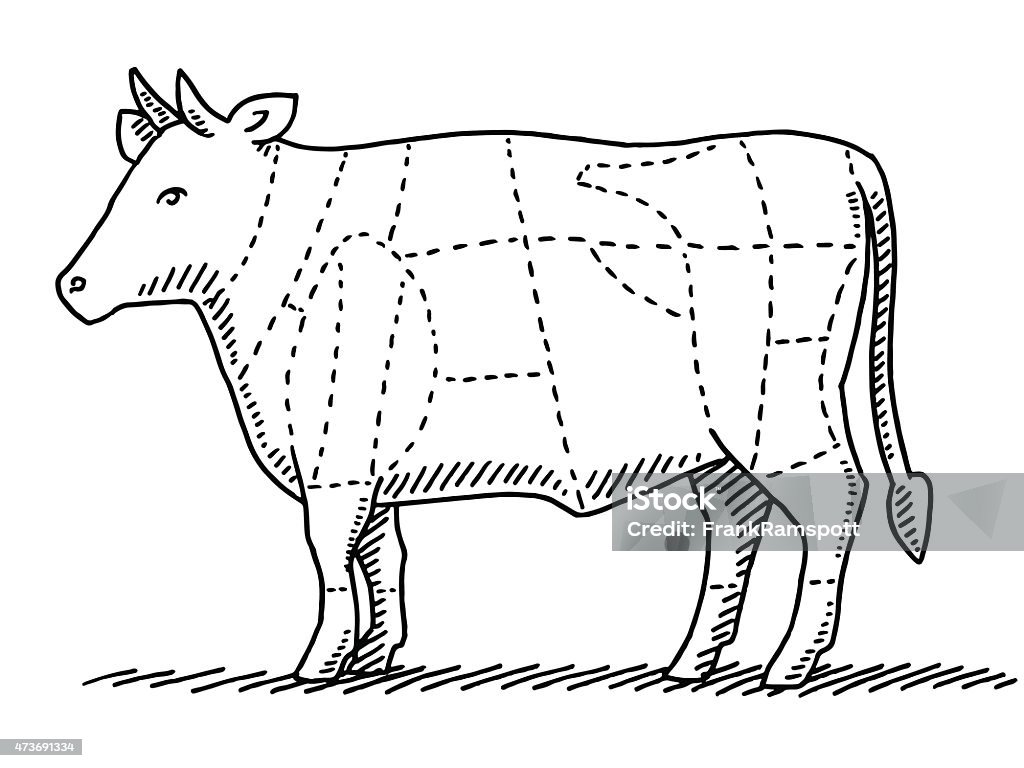 Ilustración de Piezas De Carne De Ganado Vacuno Diagrama De Dibujo y más  Vectores Libres de Derechos de Ganado - Mamífero ungulado - iStock