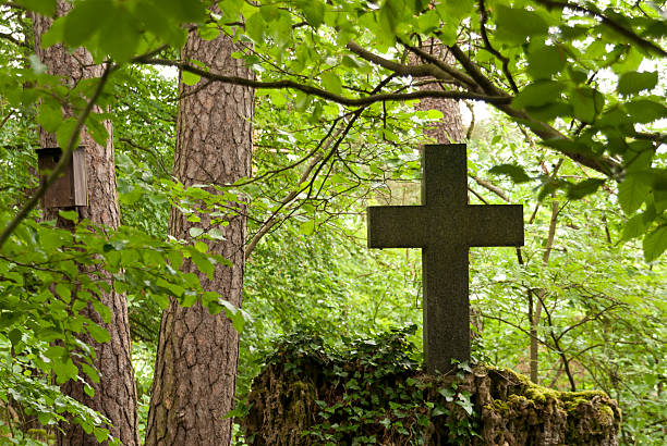 Cemetery in a Forest stock photo