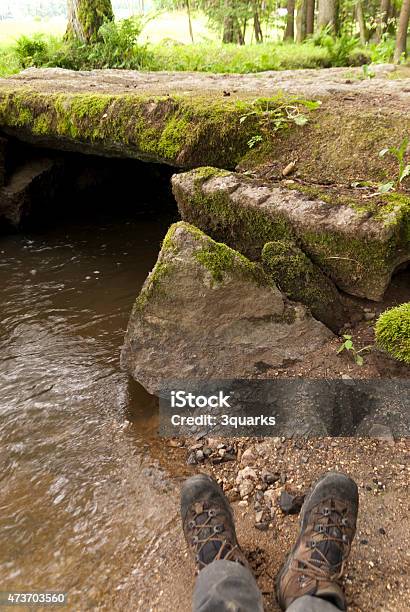 Nature Reserve Doost Stock Photo - Download Image Now - 2015, Bavaria, Footpath