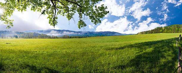 mattina di primavera cade s cove, tn - cades foto e immagini stock