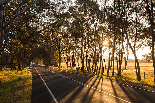 Australian Country Road at Sunset Part of the Bendigo-Maldon Road at sunset on a spring evening near Maldon victoria australia stock pictures, royalty-free photos & images