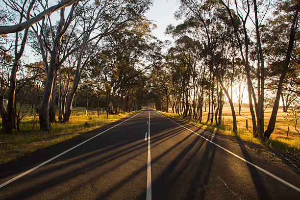 Australian Country Road at Sunset Part of the Bendigo-Maldon Road at sunset on a spring evening near Maldon essex england photos stock pictures, royalty-free photos & images