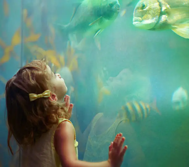 Cropped shot of a little girl on an outing to the aquariumhttp://195.154.178.81/DATA/i_collage/pi/shoots/783341.jpg