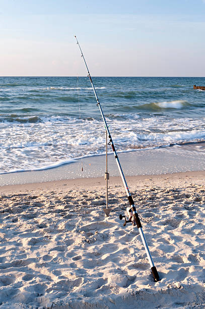 istock On the Beach of Ahrenshoop in Germany 473707178