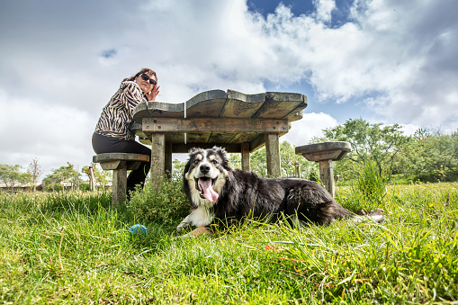 Mature smiling couple relaxing on picnic bench with her dog