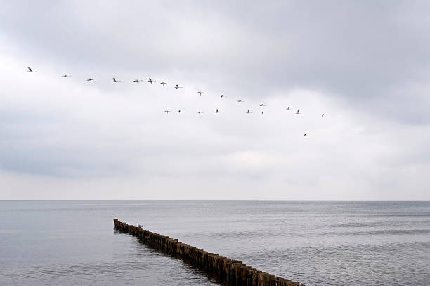 istock On the Beach of Ahrenshoop in Germany 473711088