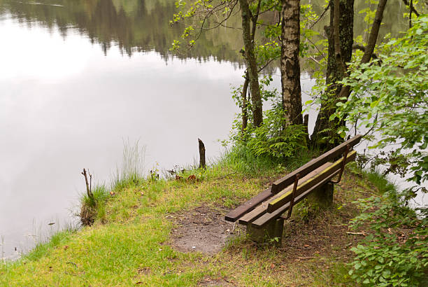istock On the Hiking Trail Goldsteig, Germany 473715168