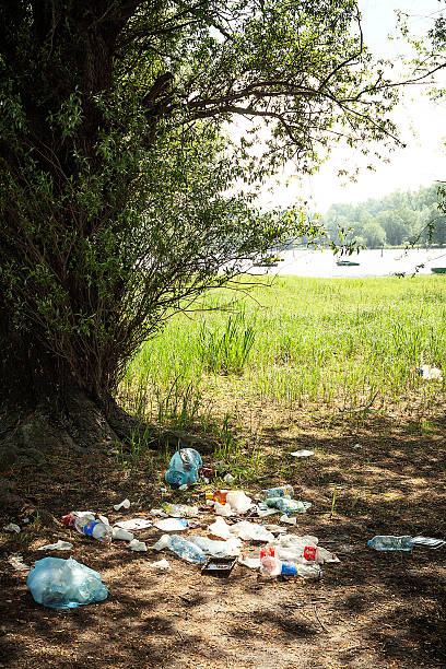 müll von der donau - garbage dump vertical outdoors nobody stock-fotos und bilder