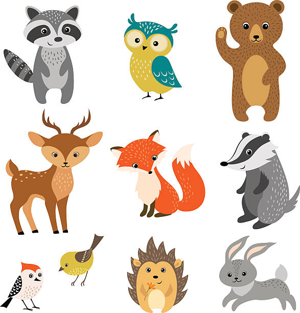 Cute forest animals Set of cute woodland animals isolated on white background. owl illustrations stock illustrations