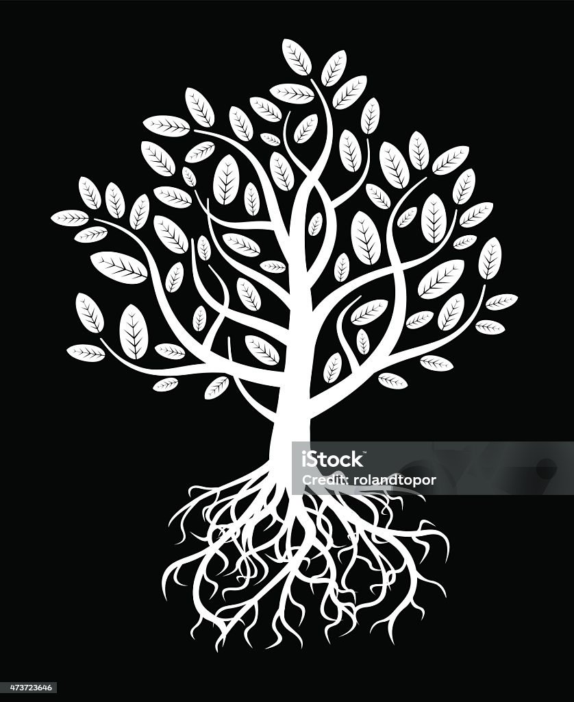 White Vector Tree And Roots Stock Illustration - Download Image Now ...