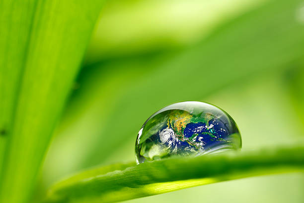 istock leaf with rain droplets - Recovery earth concept 473728070