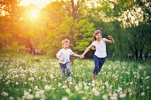 Little boy aged 5 and his elder sister aged 9 are running on dandelion field. They are enjoying beautiful nature and the sunset, laughing happily. Focus on the little boy, the girl is slightly soft.